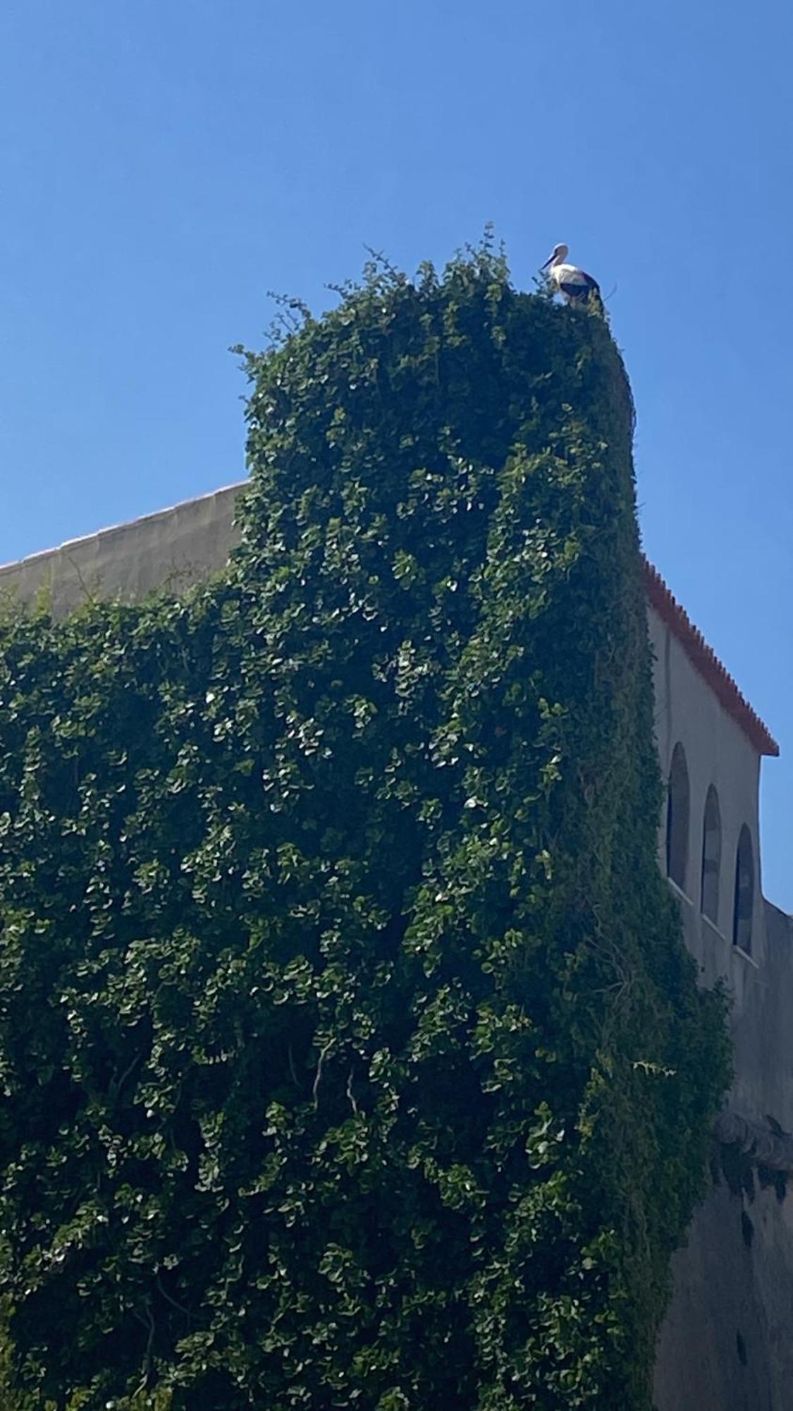 Casa Das Marias Vila Nova de Milfontes Exterior foto